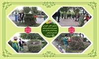 کلاس آموزشی هرس و فرم دهی درختان ویژه کارکنان فضای سبز آرامستان بندرعباس برگزار شد