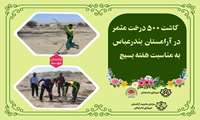 کاشت ۵۰۰ درخت مثمر در آرامستان بندرعباس در هفته بسیج